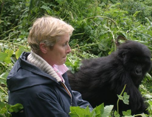 2 Days Rwanda – Uganda Gorilla Trek