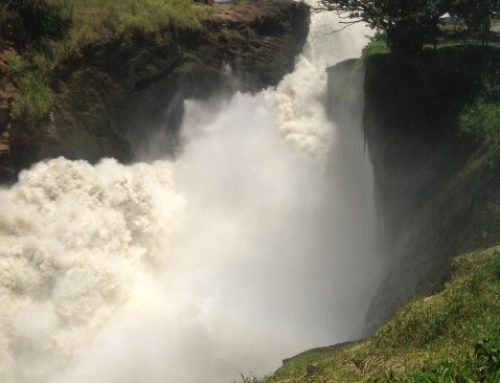 Murchison Falls National Park