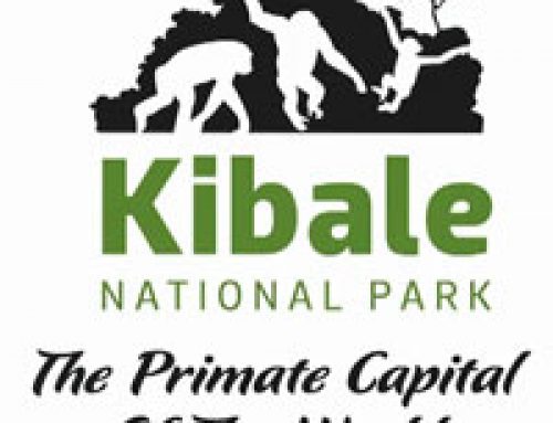 Kibale National Park