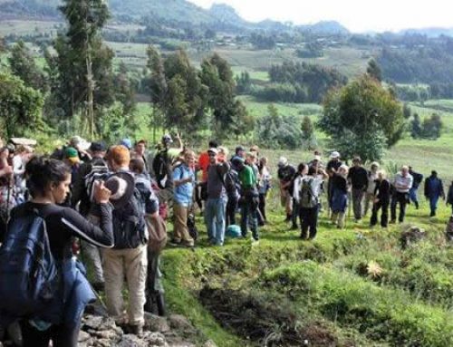 2 Days Rwanda-Congo Gorilla Tour