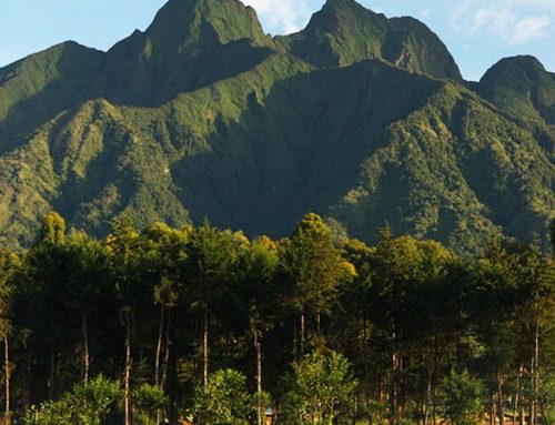 Virunga Mountains