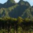 Virunga Mountains